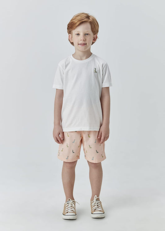 Conjunto Dino Beabá