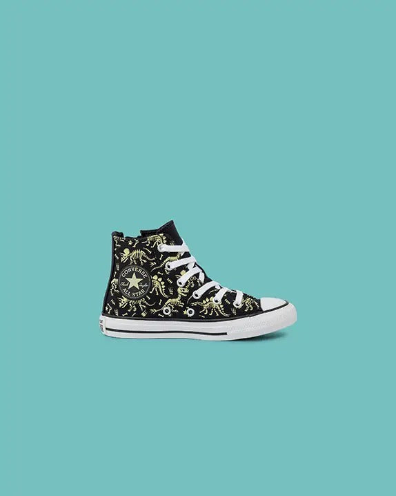 All Star Chuck Taylor Dino