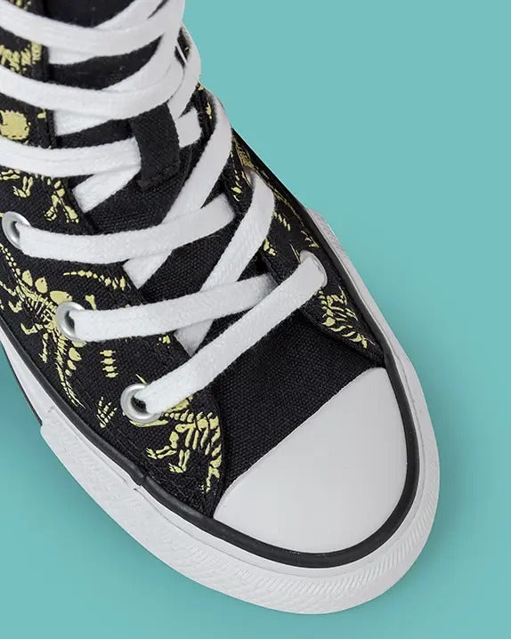 All Star Chuck Taylor Dino