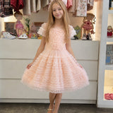 Vestido Infantil Rosa Premium Petit Cherie
