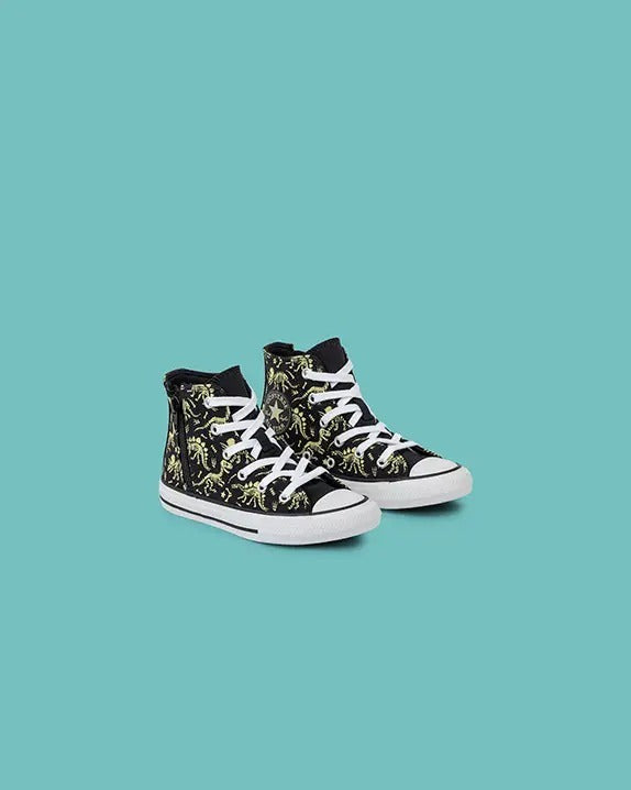 All Star Chuck Taylor Dino