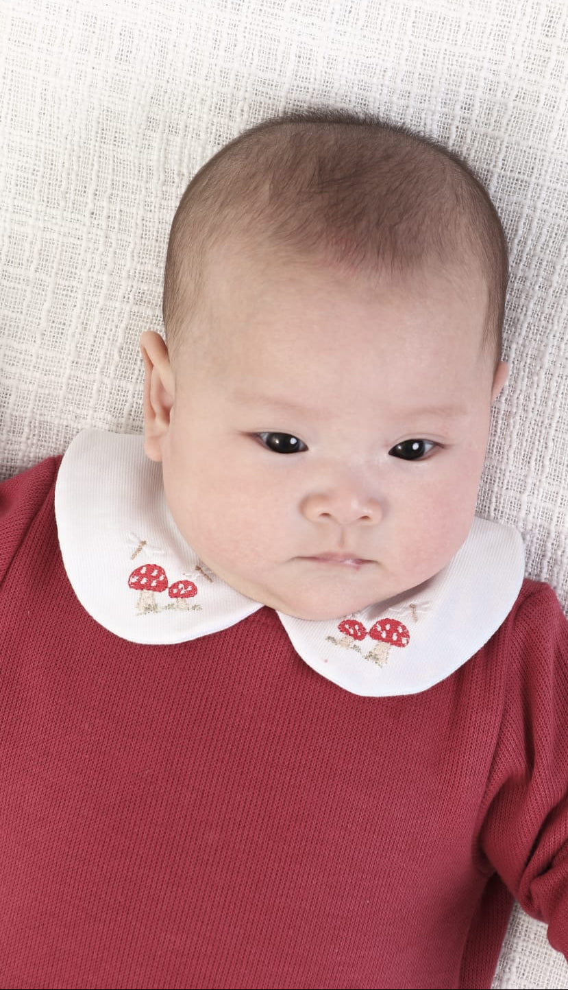 Macacão e Body Bosque Unissex Buá